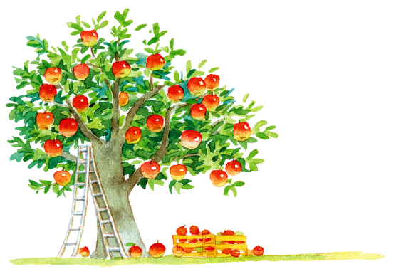 子どもの才能（GIFT）の成長を表すりんごの木のイラスト